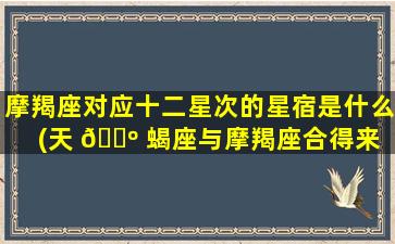 摩羯座对应十二星次的星宿是什么(天 🐺 蝎座与摩羯座合得来 🌲 吗)